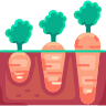 Growing carrot icon