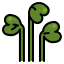 salad icon