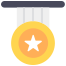 Award icon