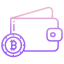 wallet icon