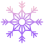 Fiocco di neve icon