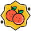 Oranges icon