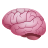 Gehirn-Emoji icon
