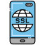 Ssl icon