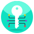 Encrypted Key icon