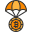 cryptocurrency icon