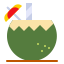 Noix de coco icon