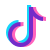 Tik Tok icon