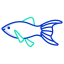 black molly fish icon