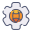 development icon