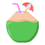 Coconut icon