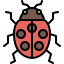mariquita-externa-insecto-tulpahn-contorno-color-tulpahn icon