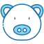 Pig icon