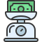 wiegen icon