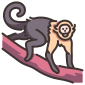 animal icon