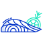 keto food icon