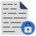 Locked File icon