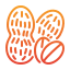 peanut icon