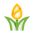 Tulipán icon