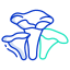 chanterelle mushrooms icon