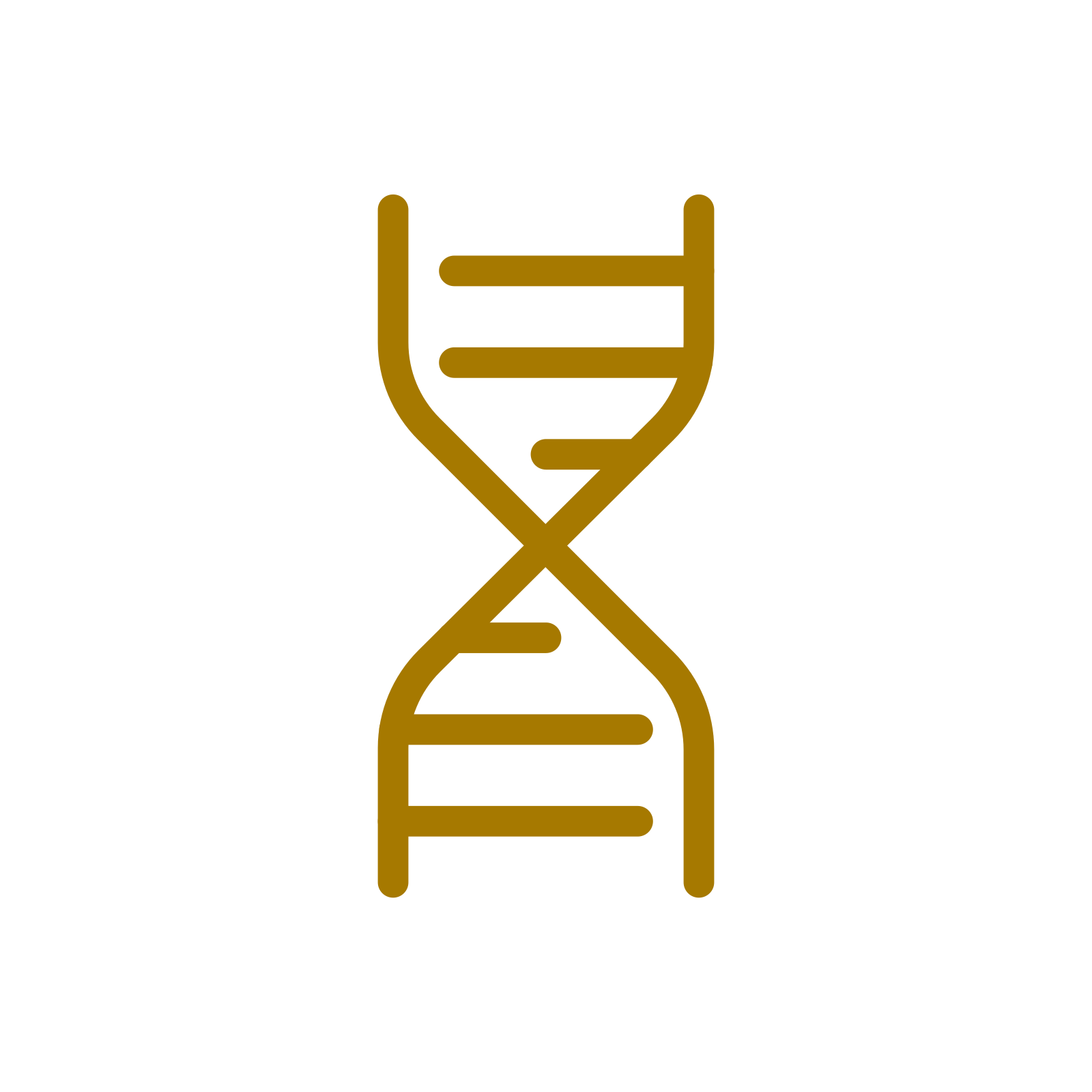 DNA Structure icon