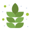 lotus icon