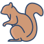 Eichhörnchen icon