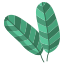 guaiava icon