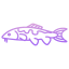 carp koi fish icon