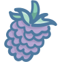 Berries icon