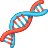 ADN icon