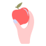 Apple icon