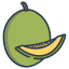 cantaloupe icon