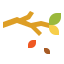 autumn icon
