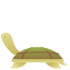 Tortue icon