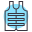 bulletproof icon