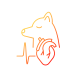 cardiovascular disease icon