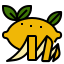 lemon icon