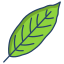 laurel leaf icon