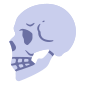 Anatomy icon