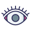 Eye icon