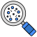 search bacteria icon