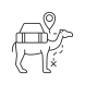 camel icon