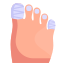 Broken Toes icon