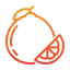 pomelo icon