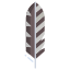 Woodpecker Feather icon