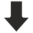 bottom icon