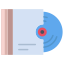 dvd icon