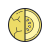 color hand drawn style 잘린 멜론 icon