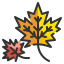 Leaf icon